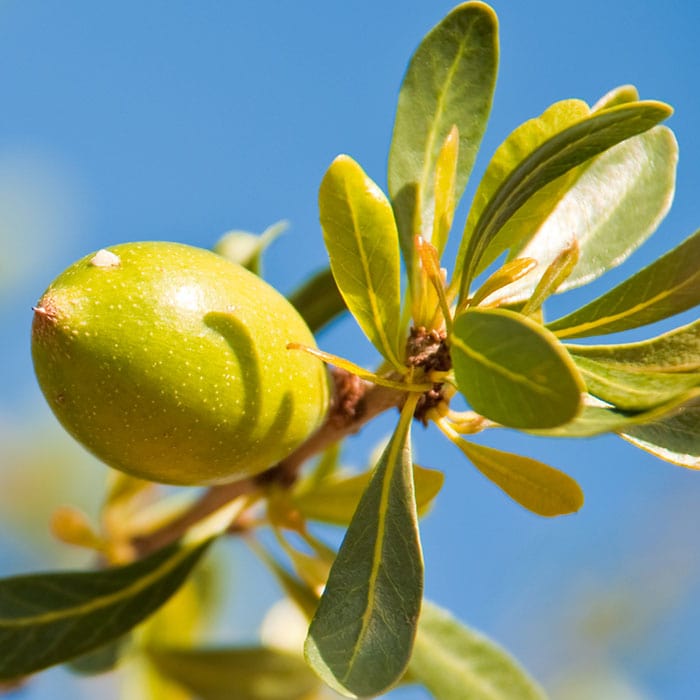 argan-oil-700x700.jpg