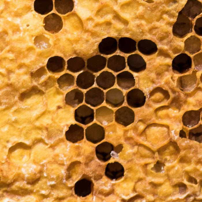 beeswax-700x700.jpg
