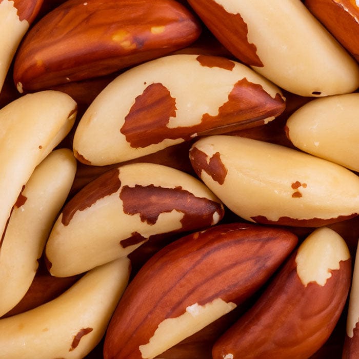 brazil-nut-700x700.jpg