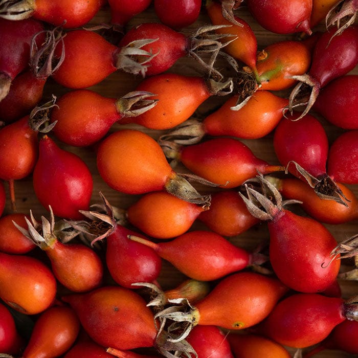 rosehip-700x700.jpg