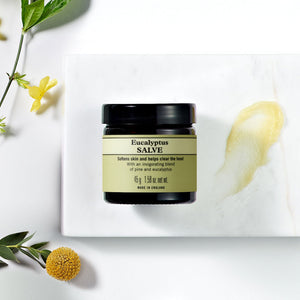 Neal's Yard Remedies Eucalyptus Salve 45g